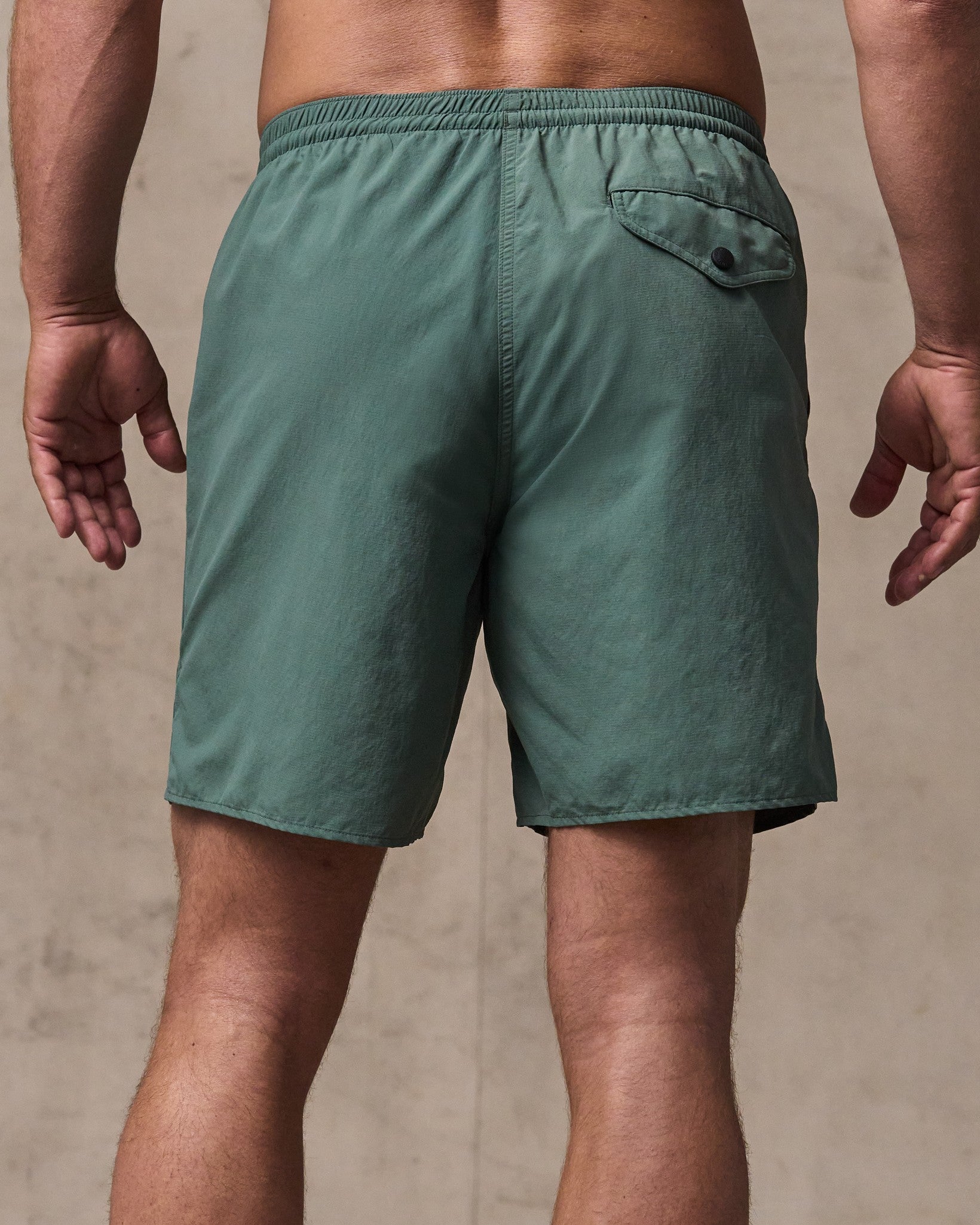 Oxbow Lake Trunks - Dark Forest - Image 2